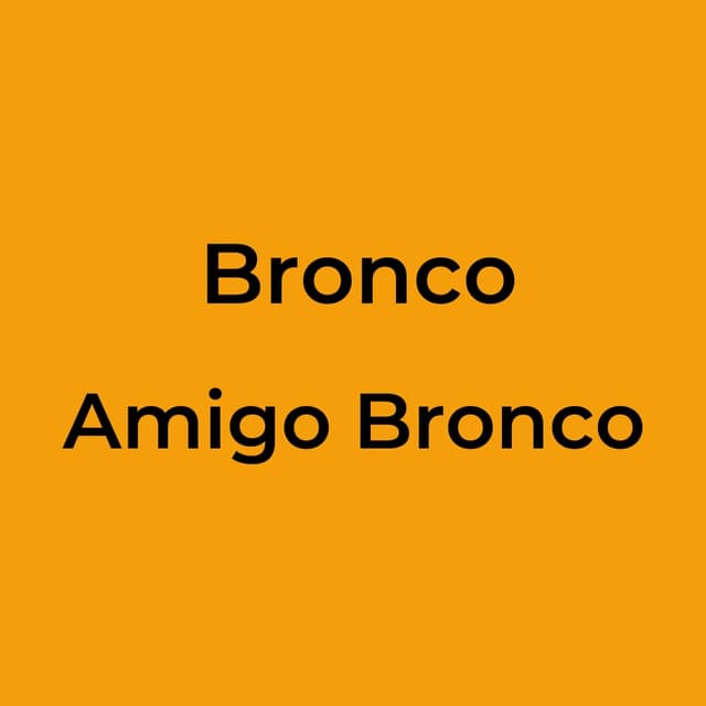 Amigo Bronco