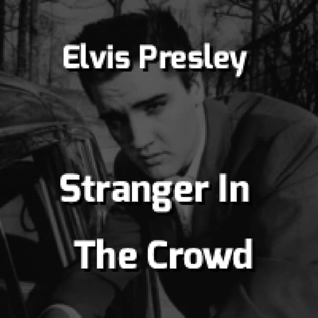 Stranger In The Crowd