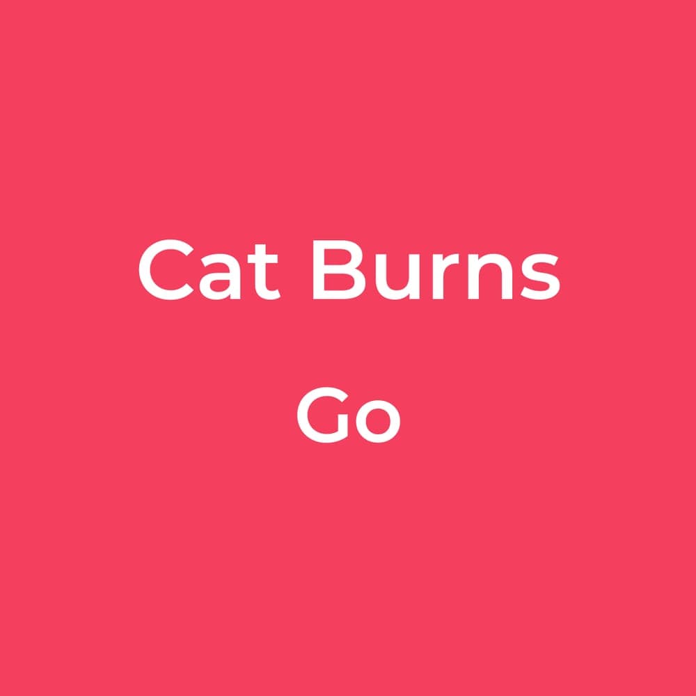 Cat Burns - Go