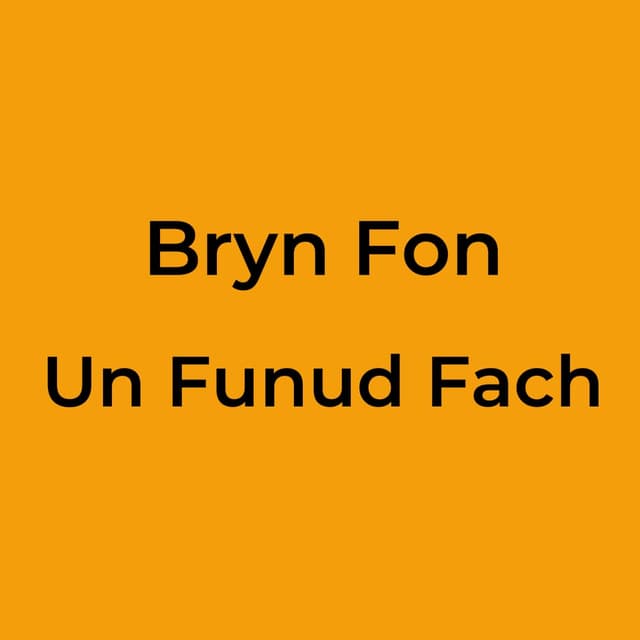 Bryn Fon - Un Funud Fach