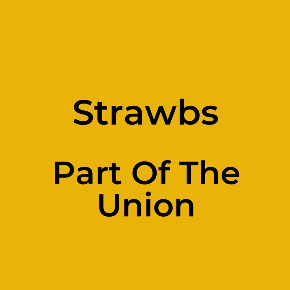 Strawbs - Part Of The Union