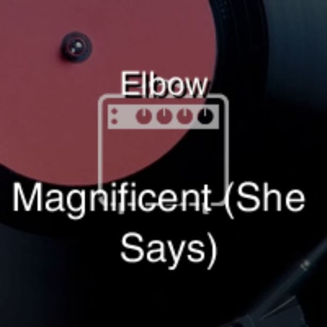 Magnificent (She Says)