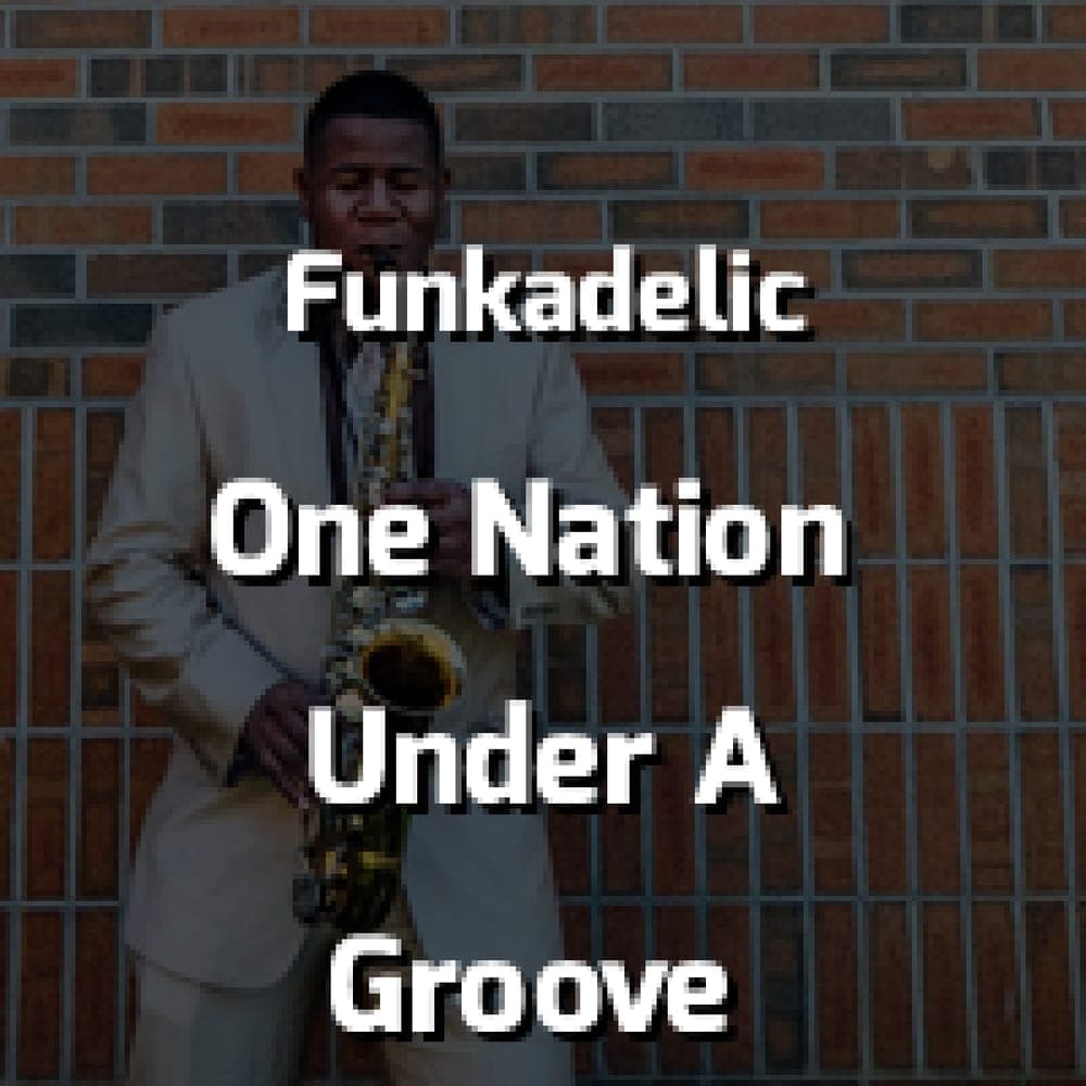 Funkadelic - One Nation Under A Groove
