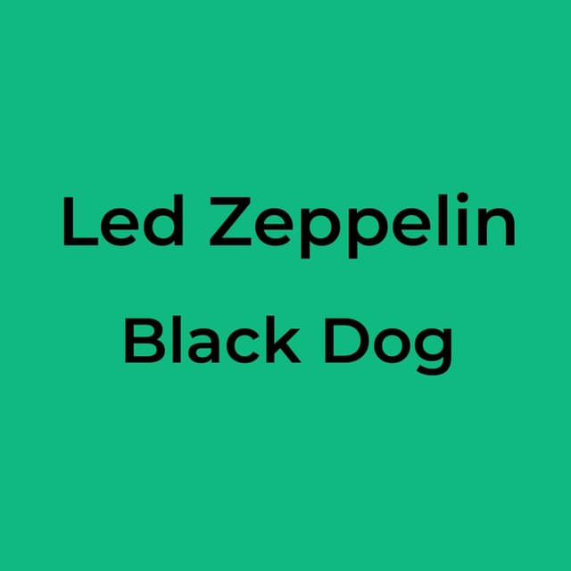 Black Dog