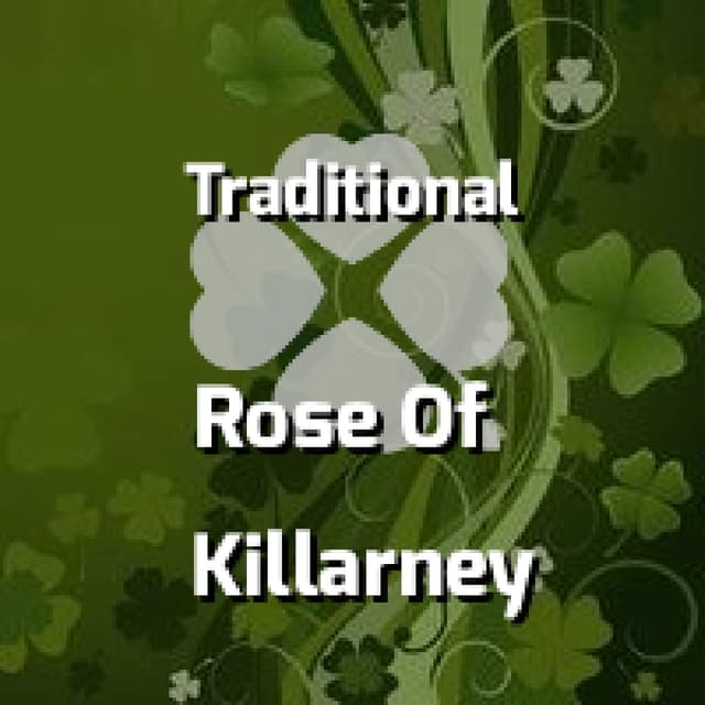 Rose Of Killarney