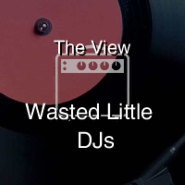 Wasted Little DJs