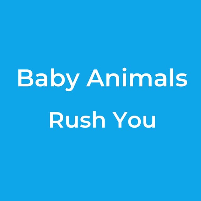 Rush You