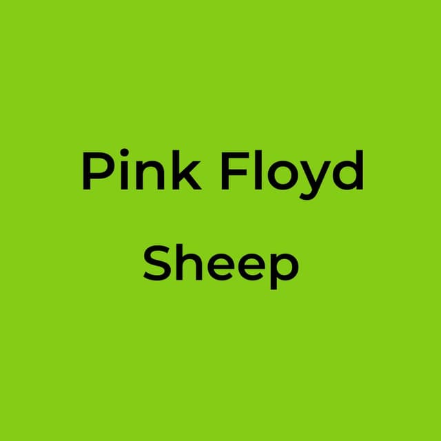 Sheep