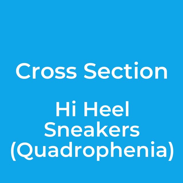 Hi Heel Sneakers (Quadrophenia)