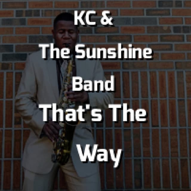 That's The Way (I Like It)