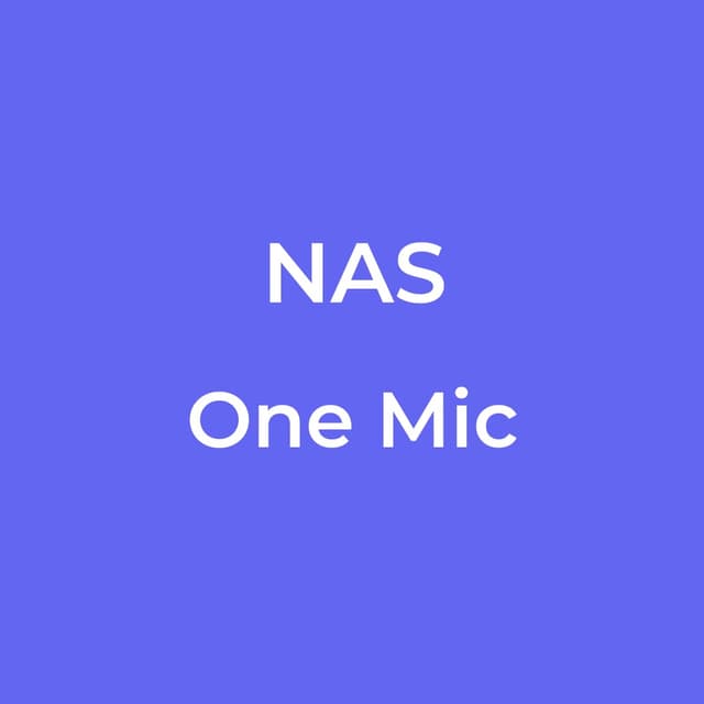 One Mic