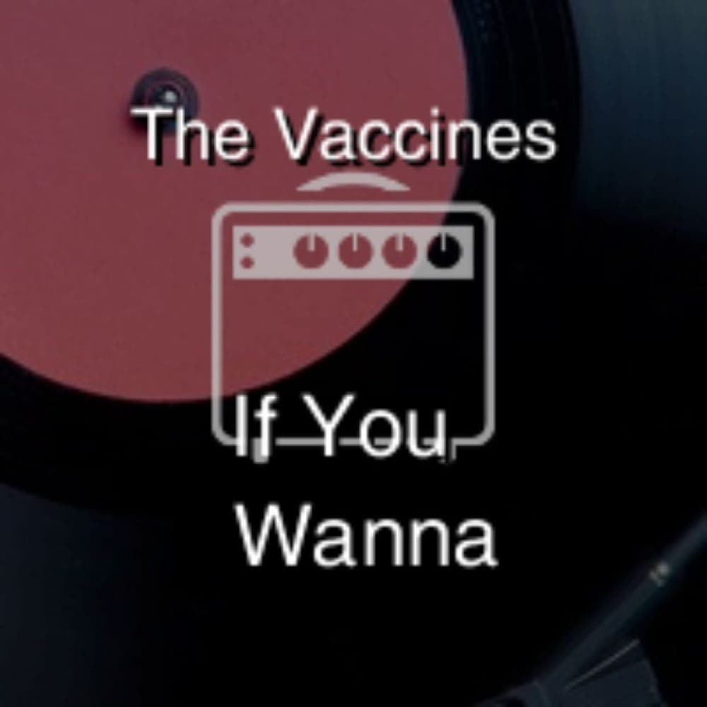 The Vaccines - If You Wanna