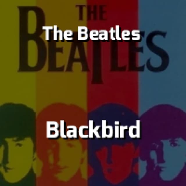 Blackbird