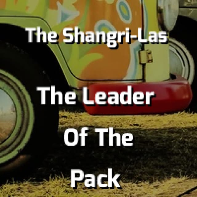 The Leader Of The Pack