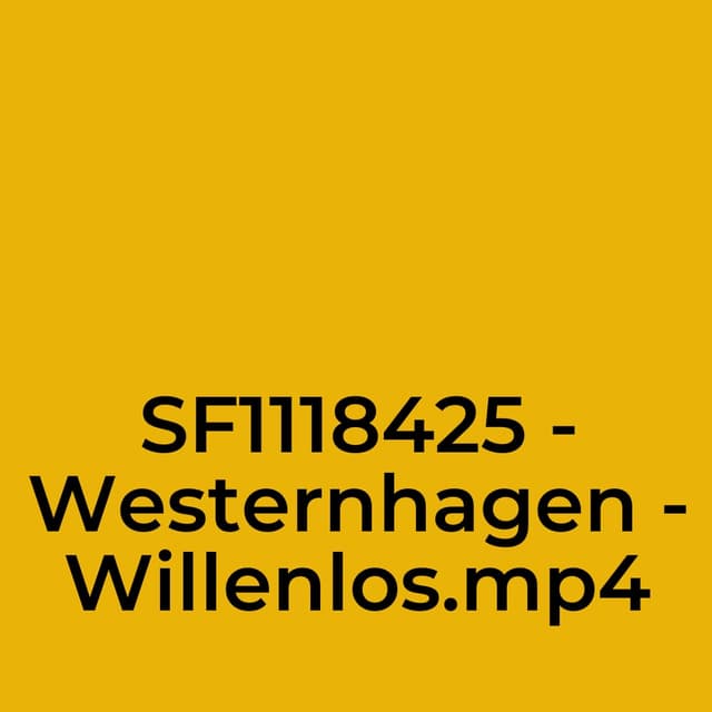 SF1118425 - Westernhagen - Willenlos.mp4