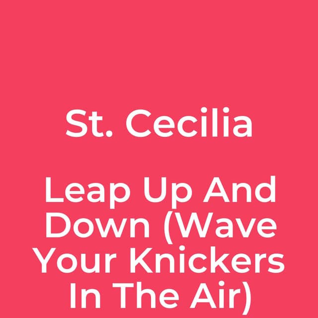 Leap Up And Down (Wave Your Knickers In The Air)