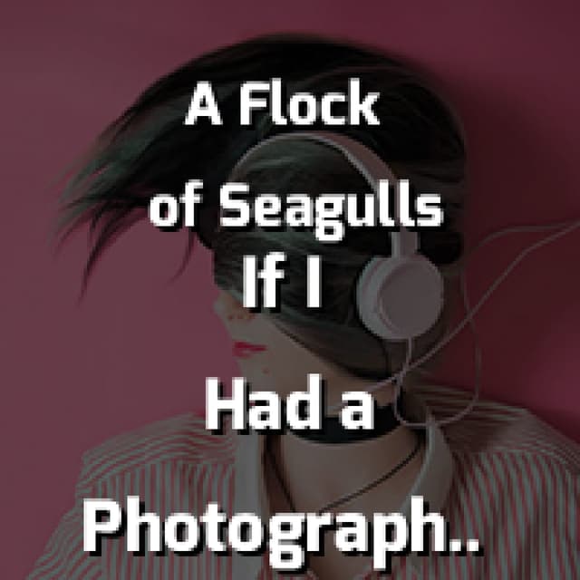 Wishing (If I Had a Photograph of You)