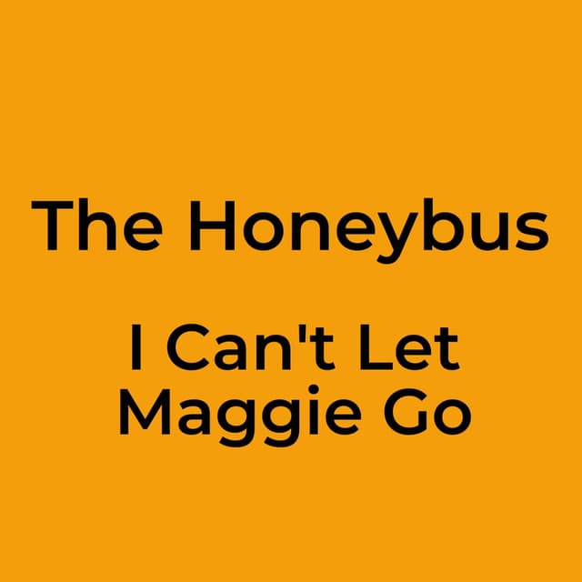 I Can't Let Maggie Go