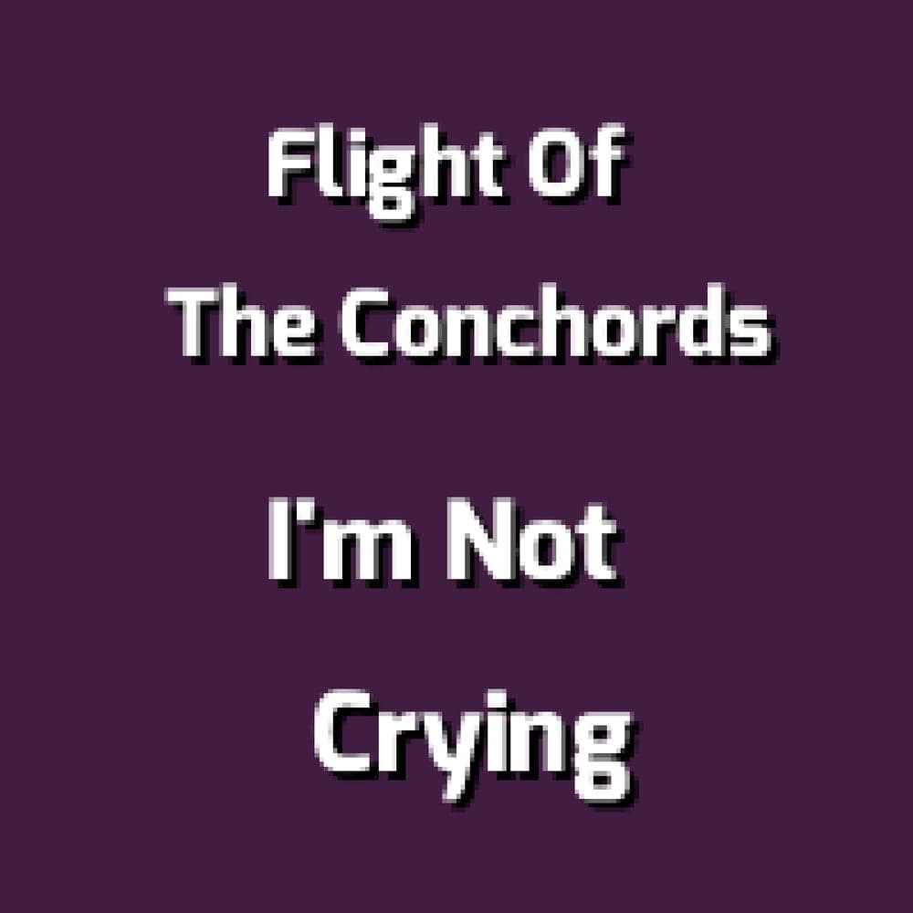 Flight Of The Conchords - I'm Not Crying