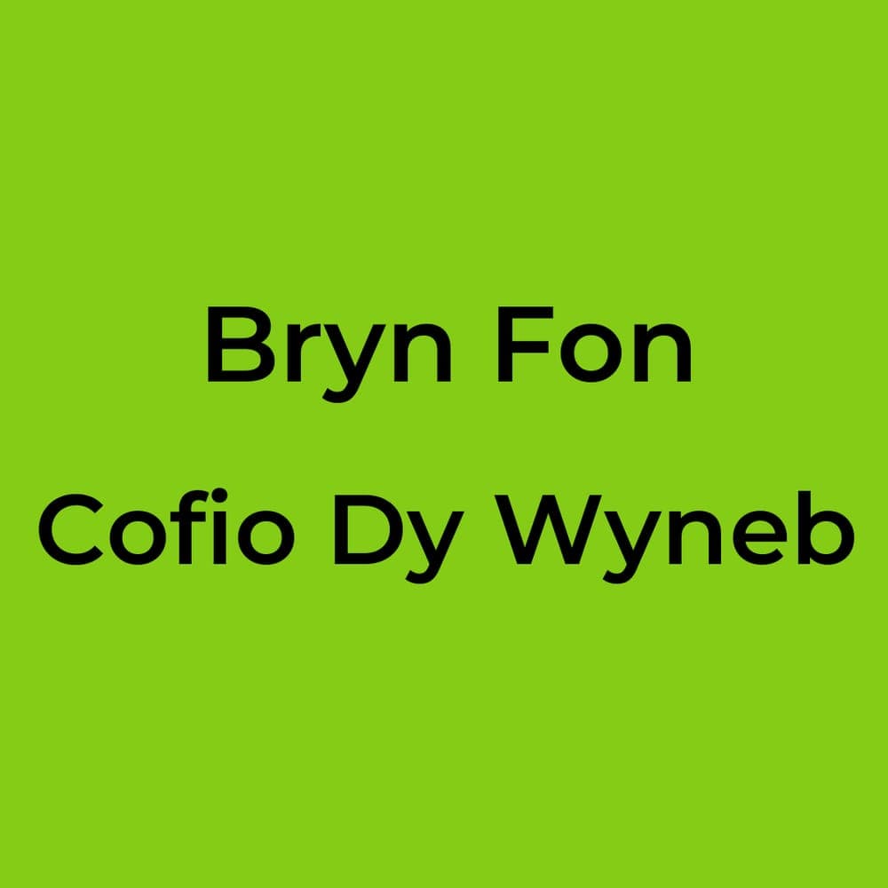 Bryn Fon - Cofio Dy Wyneb