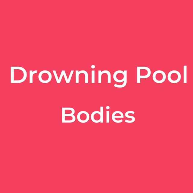 Bodies