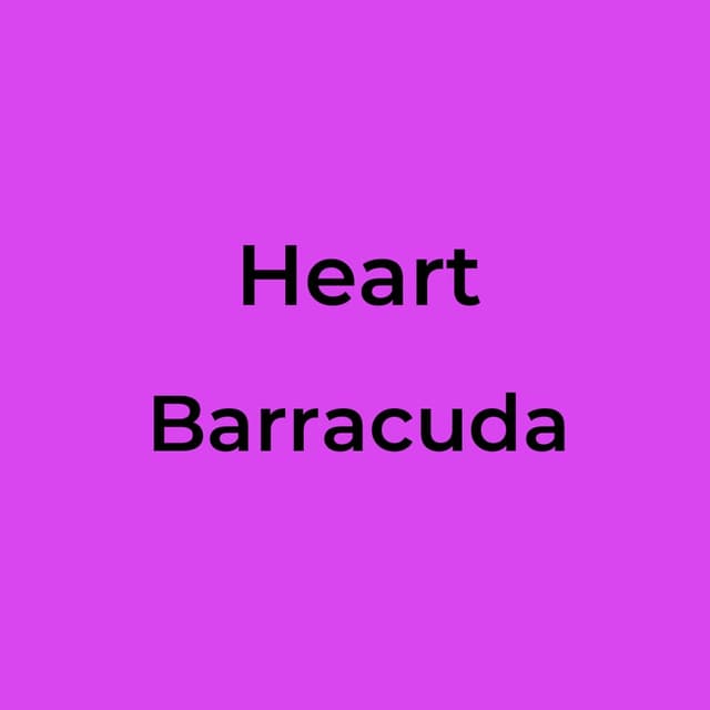 Barracuda