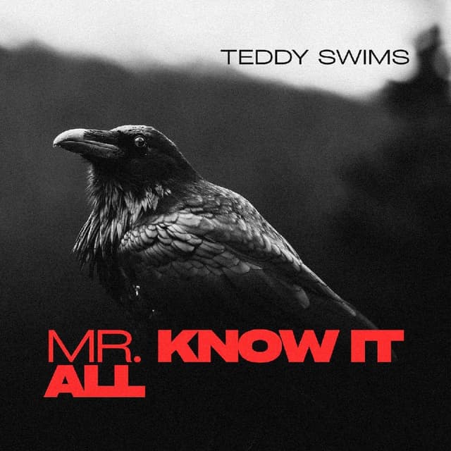 Mr Know It All