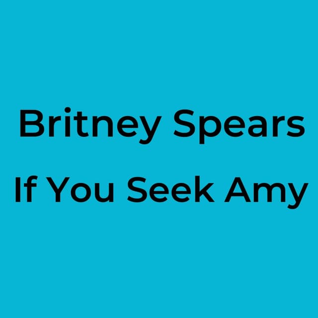 If You Seek Amy