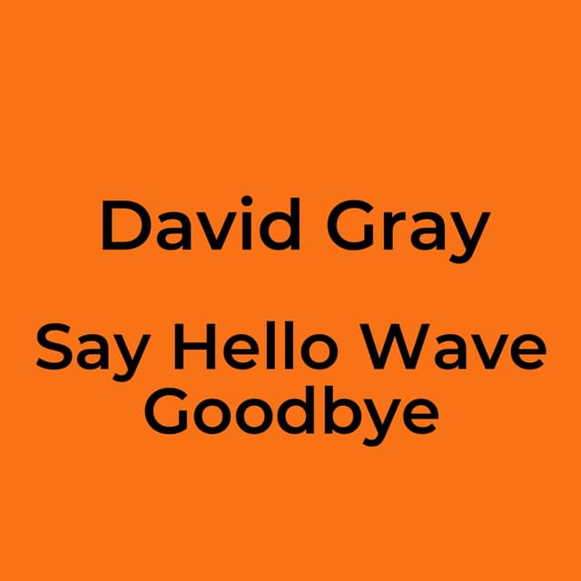 Say Hello Wave Goodbye