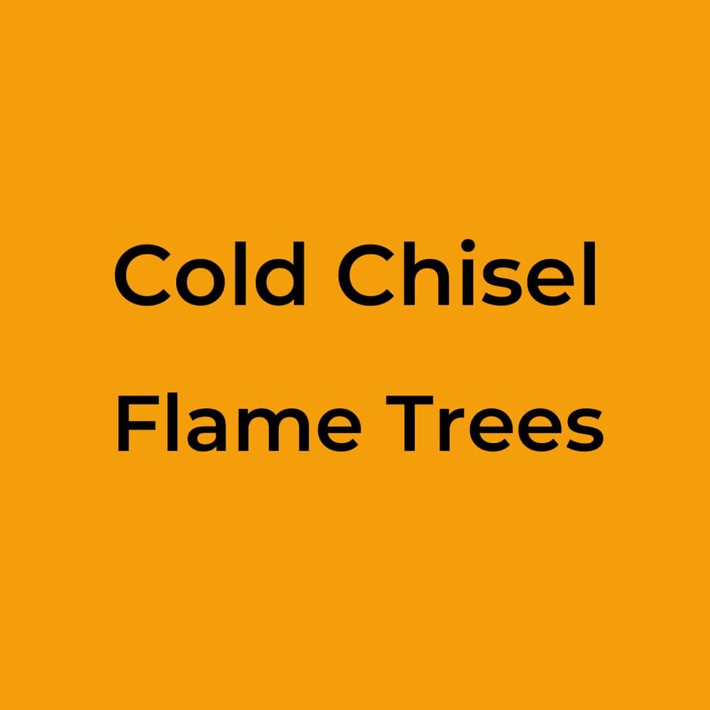 Cold Chisel - Flame Trees