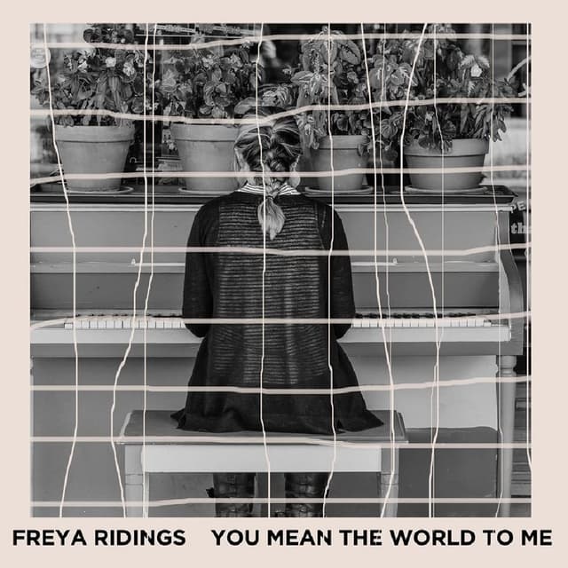 You Mean The World To Me