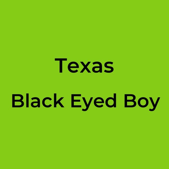 Black Eyed Boy