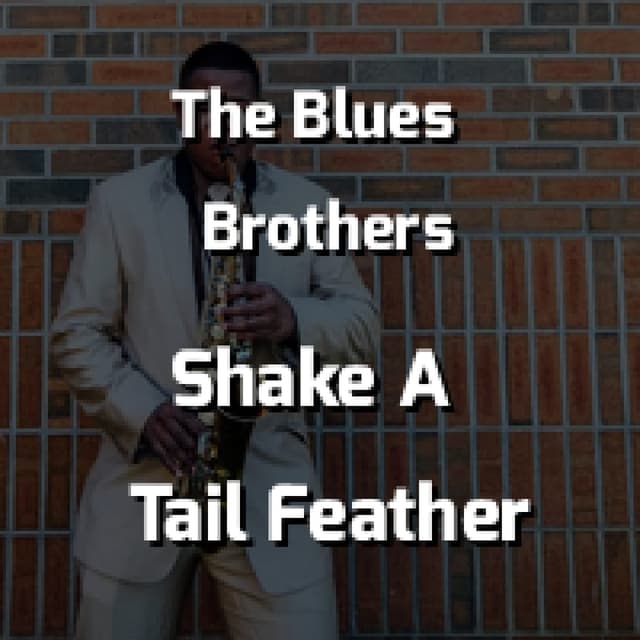 Shake A Tail Feather