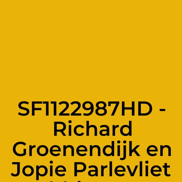 SF1122987HD - Richard Groenendijk en Jopie Parlevliet - Tebbie nou op je muil.mp4