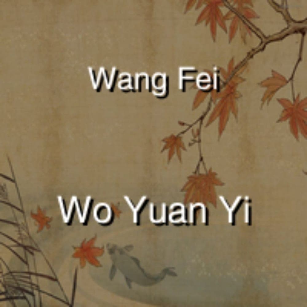 Wang Fei - Wo Yuan Yi