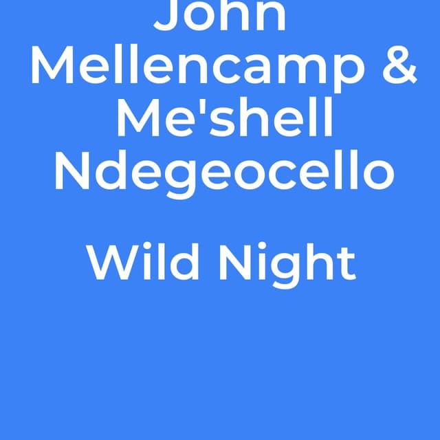 Wild Night