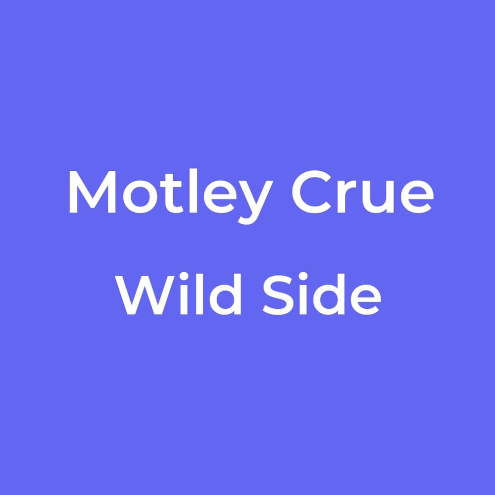 Motley Crue - Wild Side