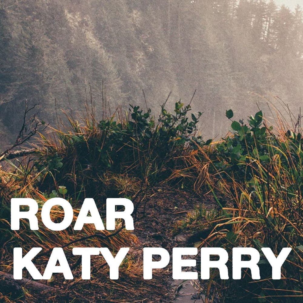 Katy Perry - Roar