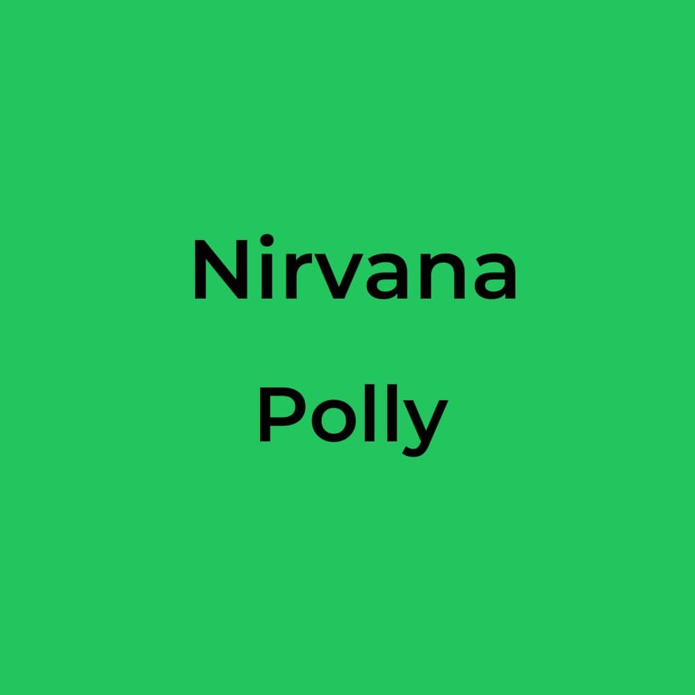 Nirvana - Polly