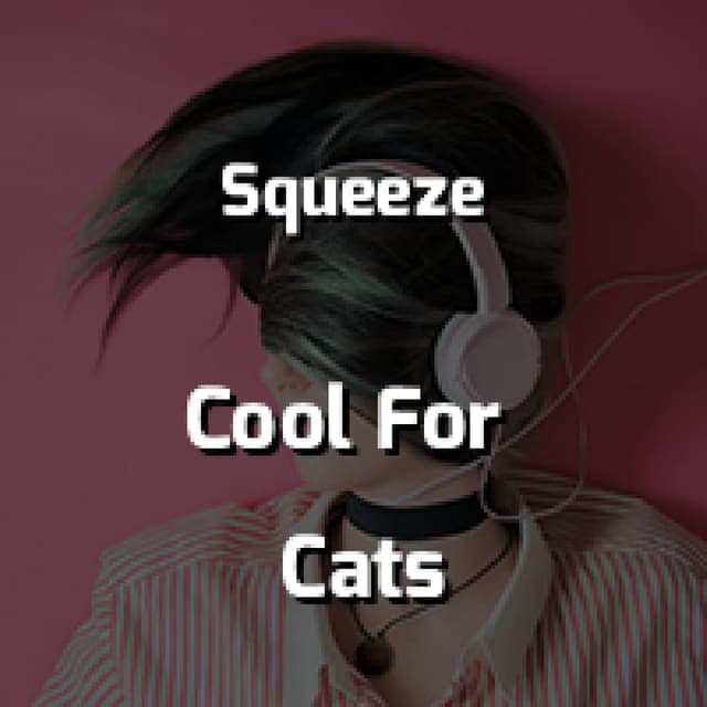 Cool For Cats