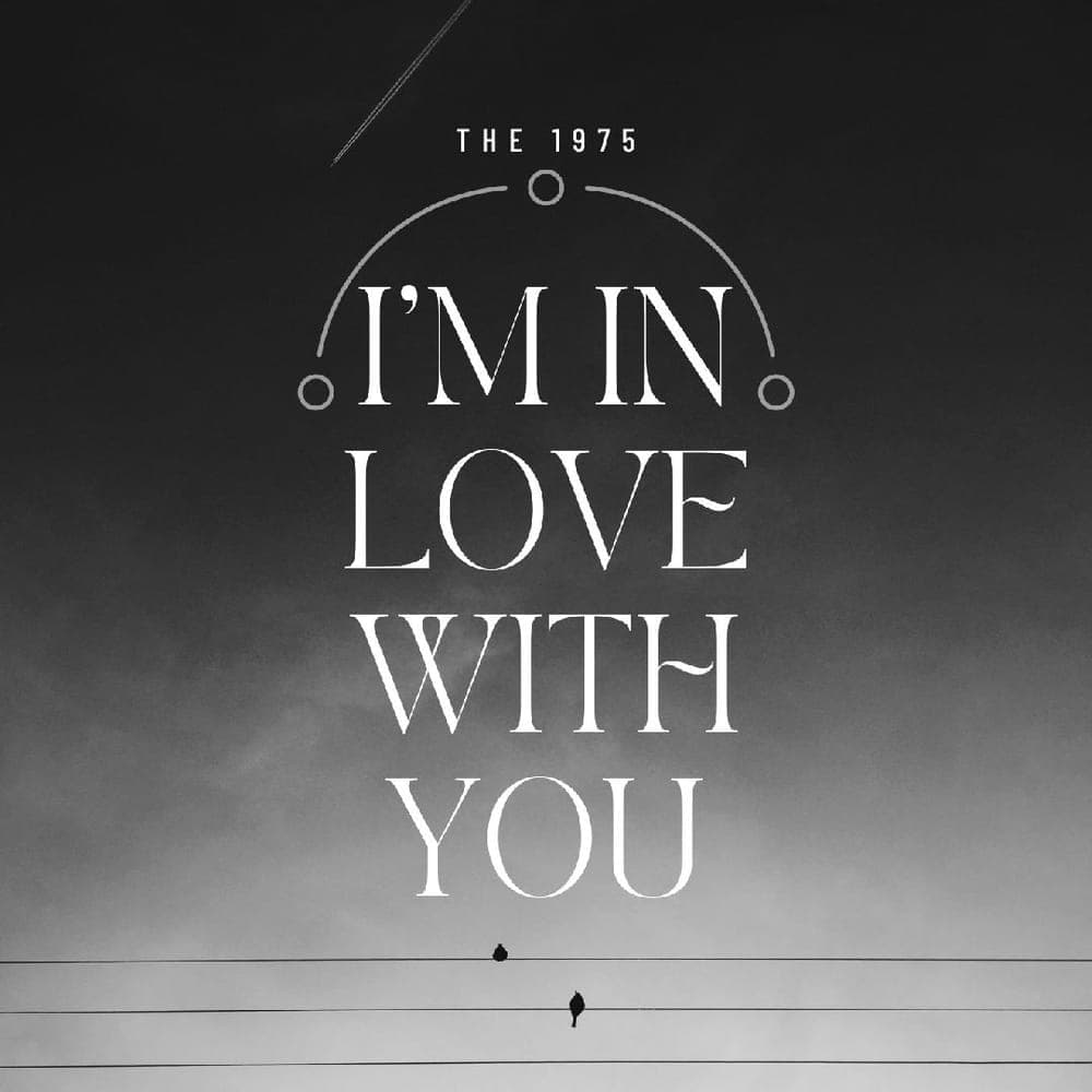 The 1975 - I'm In Love With You
