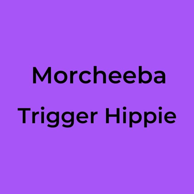 Trigger Hippie