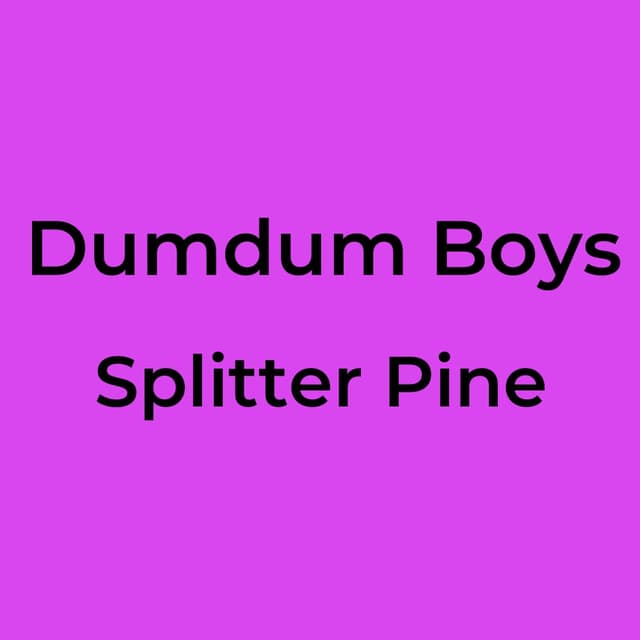 Splitter Pine