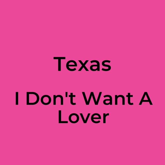 I Don't Want A Lover